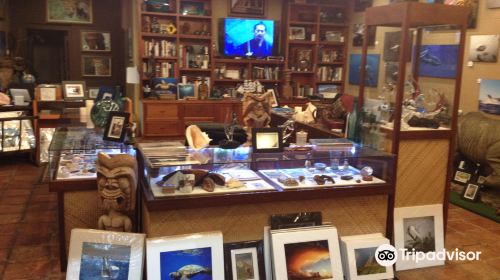 Maui's World Gallery