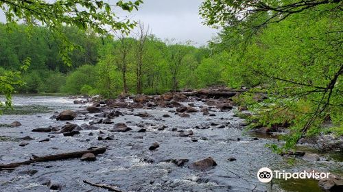 Oxtongue Rapids Park Rd