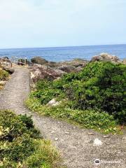 Muroto Global Geopark Center