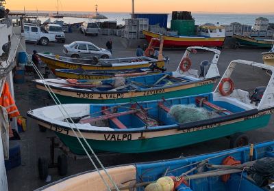 Caleta Higuerillas