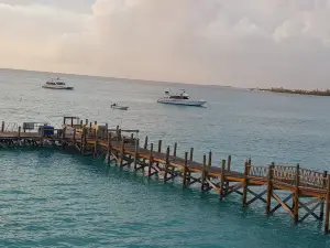 Seafari Bahamas