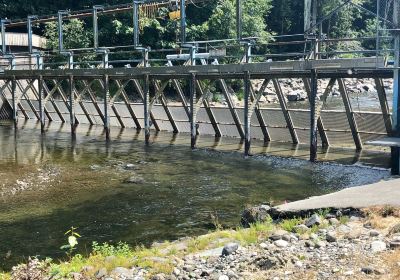 Little Qualicum River Fish Hatchery