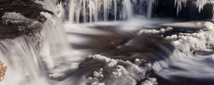 Camp Creek State Park & Forest