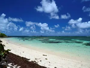 Anse Michel