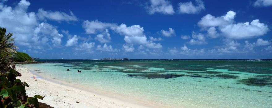 Anse Michel