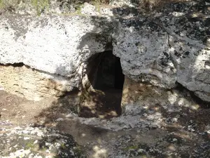 Cuevas de l'Alzinaret