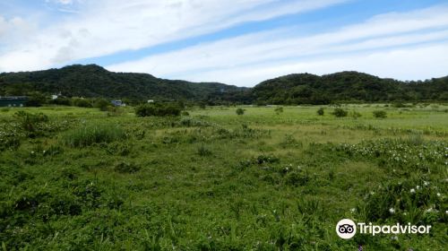 東源水上草原