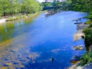 Saco River