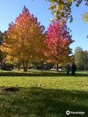 Bosco di Legnano (Parco Castello)