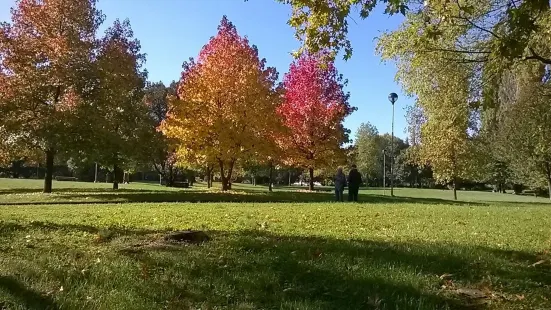 Bosco di Legnano (Parco Castello)