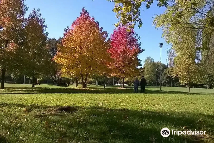 Bosco di Legnano (Parco Castello)