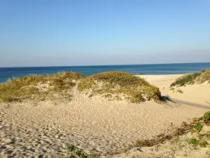 Liseleje Strand