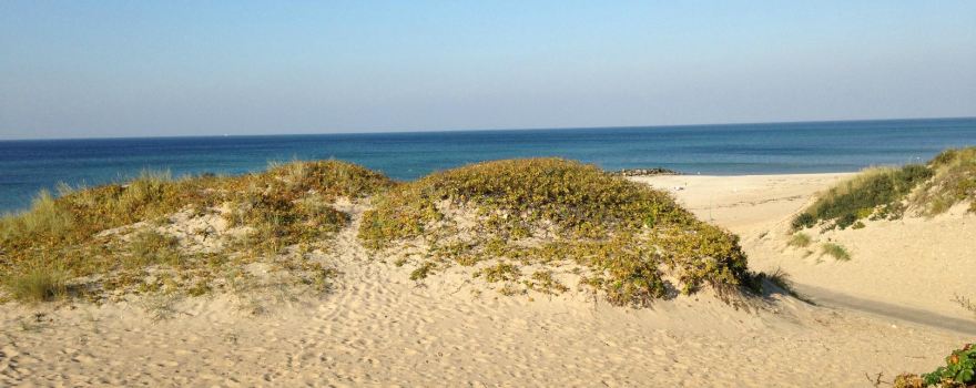 Liseleje Strand