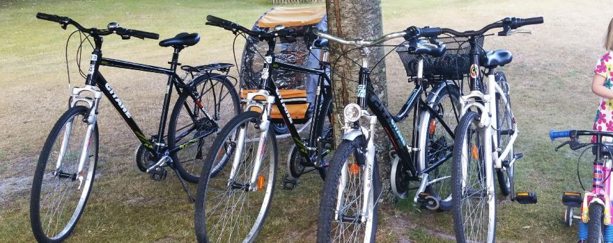 Linxe Cycle Motoculture