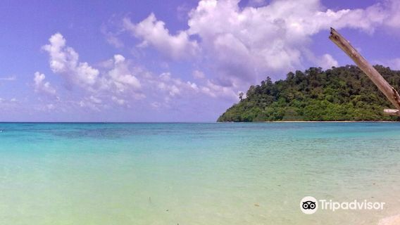 เกาะรอกนอก