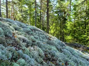 Parc national de Tiveden