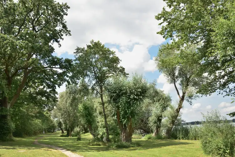 Hôtels à : Seeblick