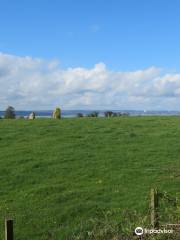 Tuilyies Standing Stones