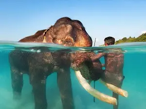 Tarkarli Scuba Diving