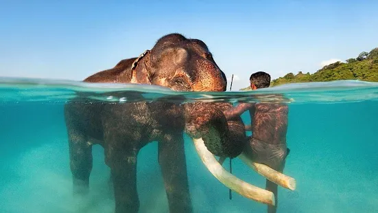 Tarkarli Scuba Diving