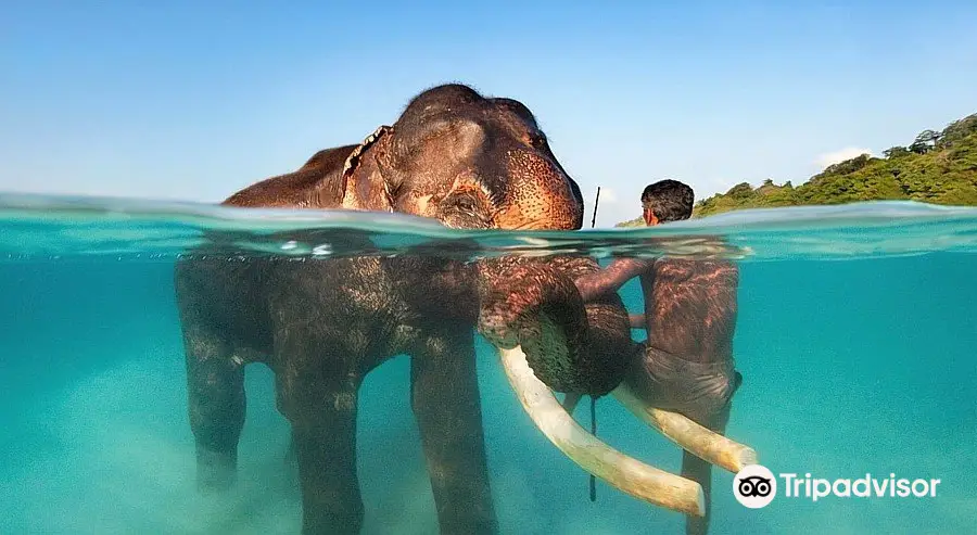 Tarkarli Scuba Diving