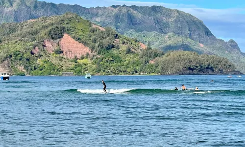 Hawaii Surfing