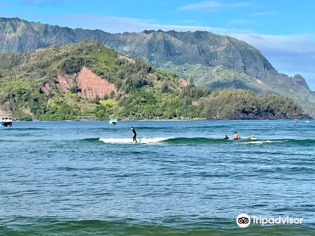 Hawaii Surfing