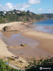 Tenby North Beach