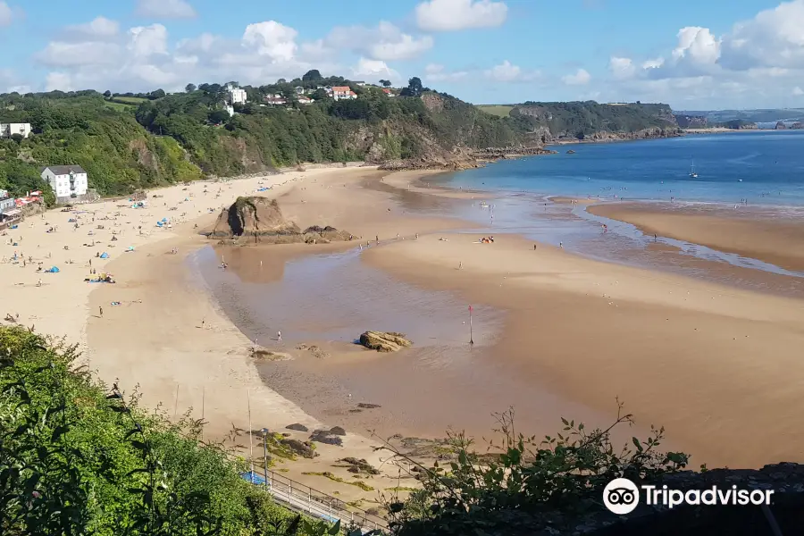 Tenby North Beach