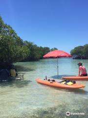 Parguera Water Sports Adventures & Bioluminescent Bay Tour Boat-Kayak-Swim