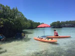 Parguera Water Sports Adventures & Bioluminescent Bay Tour Boat-Kayak-Swim