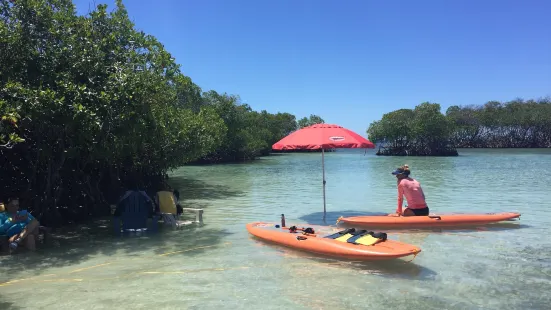 Parguera Water Sports Adventures & Bioluminescent Bay Tour Boat-Kayak-Swim