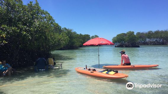 Parguera Water Sports Adventures & Bioluminescent Bay Tour Boat-Kayak-Swim