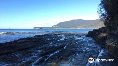 Tessellated Pavement