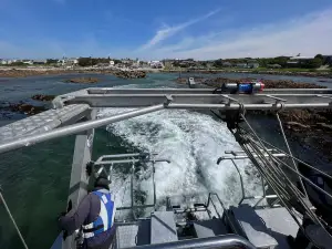 Shark Cage Diving · Marine Dynamics