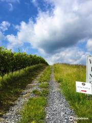 Catoctin Breeze Vineyard