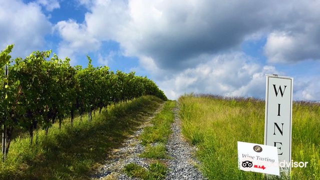 Catoctin Breeze Vineyard
