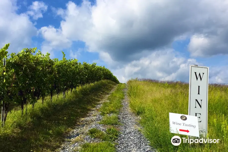 Catoctin Breeze Vineyard