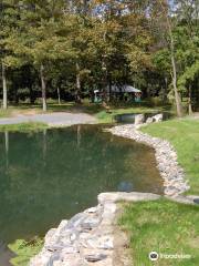 Limestone Springs Fishing Preserve