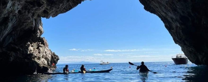 Sea Trek Ocean Kayak and Sup