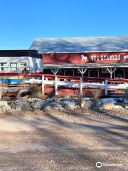 Terry Bison Ranch Resort