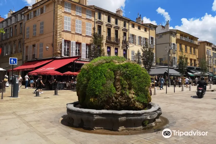 Mossy Fountain