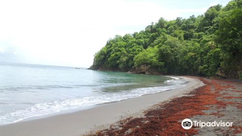 Anse Couleuvre