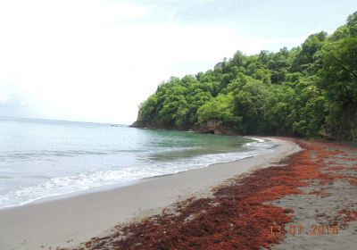 Anse Couleuvre