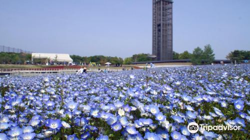 濱松花卉公園