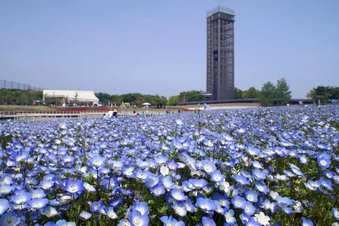 Hotels near Hamanako Garden Park