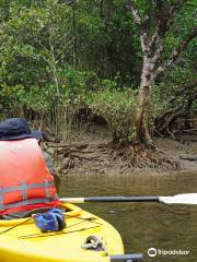 Kuroshio no Mori Mangrove Park