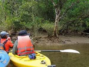 Kuroshio no Mori Mangrove Park