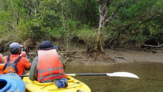 Kuroshio no Mori Mangrove Park