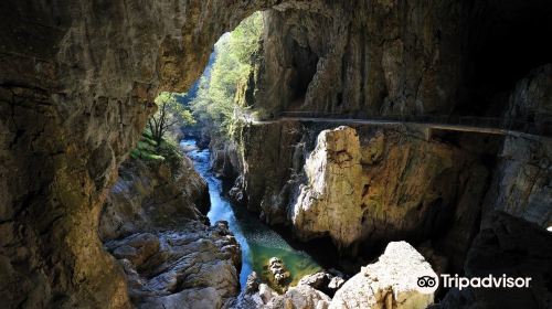 Skocjan Caves